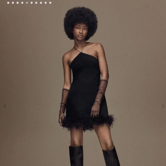 COPY - Brand new mango black feather dress. Bought for 142$. Size 4 - Picture 2 of 6